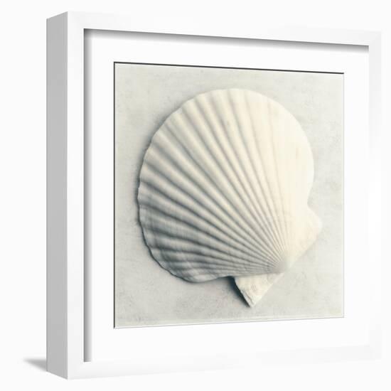 Sea Shapes II-Amy Melious-Framed Art Print