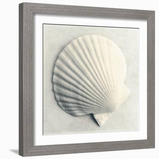 Sea Shapes II-Amy Melious-Framed Art Print