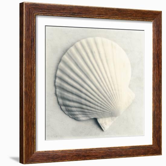 Sea Shapes II-Amy Melious-Framed Art Print