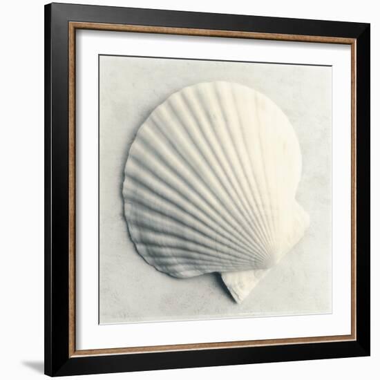 Sea Shapes II-Amy Melious-Framed Art Print