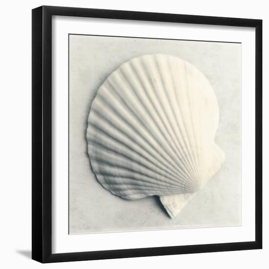 Sea Shapes II-Amy Melious-Framed Art Print