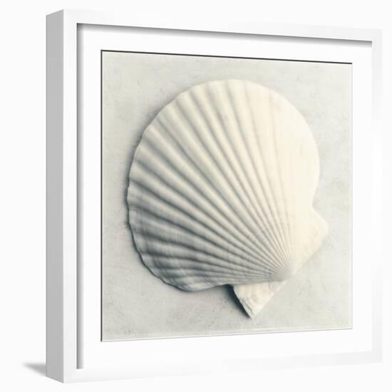 Sea Shapes II-Amy Melious-Framed Art Print