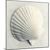Sea Shapes II-Amy Melious-Mounted Art Print