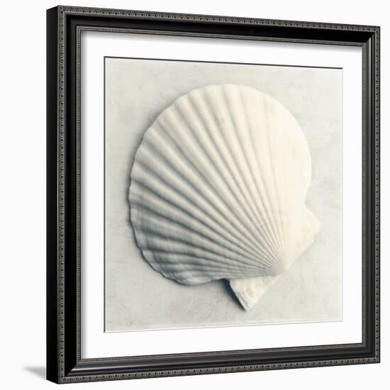 Sea Shapes II-Amy Melious-Framed Art Print