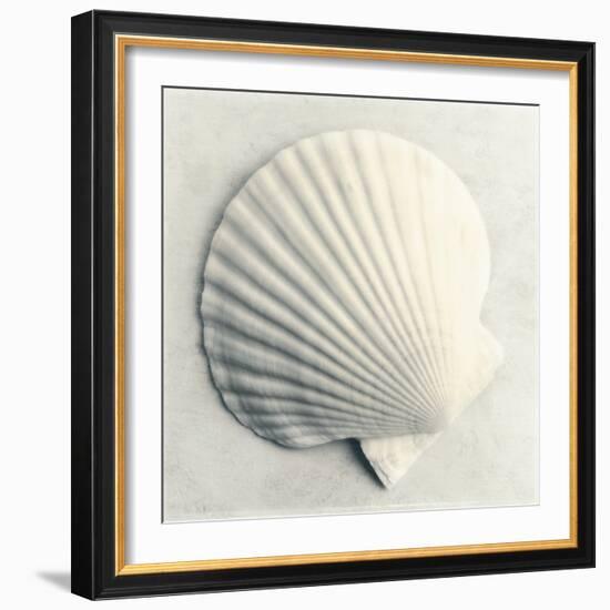 Sea Shapes II-Amy Melious-Framed Art Print