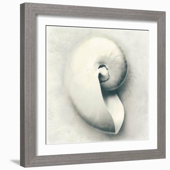 Sea Shapes III-Amy Melious-Framed Art Print