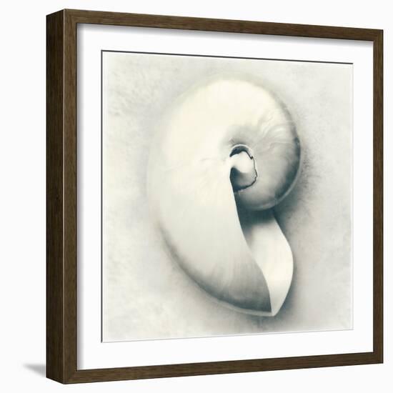 Sea Shapes III-Amy Melious-Framed Art Print