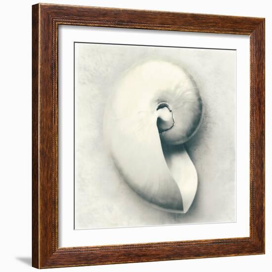 Sea Shapes III-Amy Melious-Framed Art Print