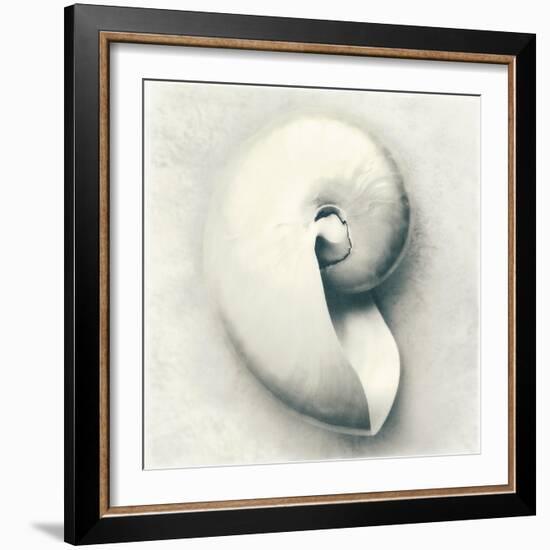 Sea Shapes III-Amy Melious-Framed Art Print