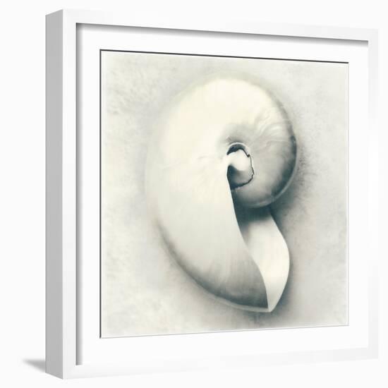 Sea Shapes III-Amy Melious-Framed Art Print