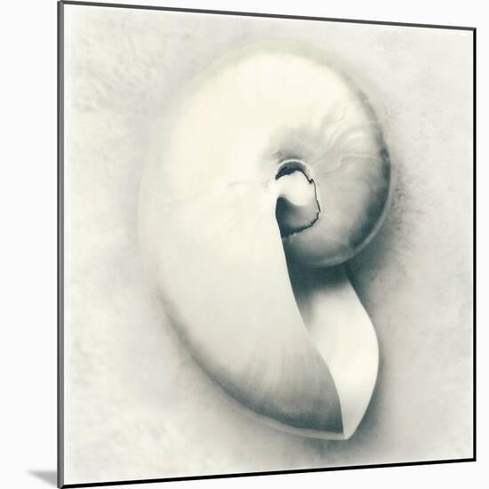 Sea Shapes III-Amy Melious-Mounted Art Print