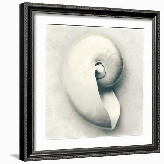 Sea Shapes III-Amy Melious-Framed Art Print