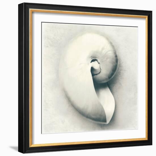 Sea Shapes III-Amy Melious-Framed Art Print