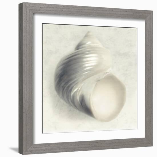 Sea Shapes IV-Amy Melious-Framed Art Print