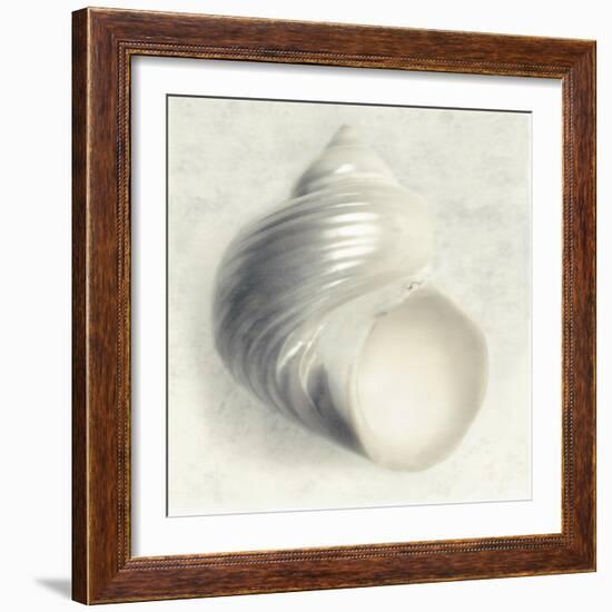 Sea Shapes IV-Amy Melious-Framed Art Print