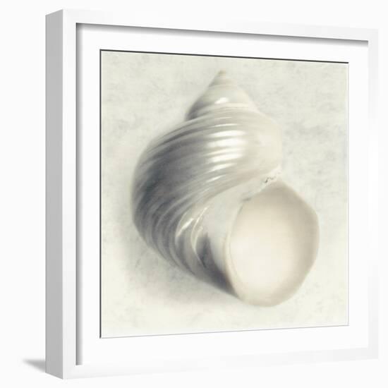 Sea Shapes IV-Amy Melious-Framed Art Print