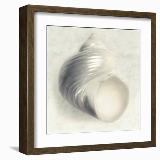 Sea Shapes IV-Amy Melious-Framed Art Print