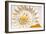 Sea Shell Abst No.4-Shams Rasheed-Framed Giclee Print