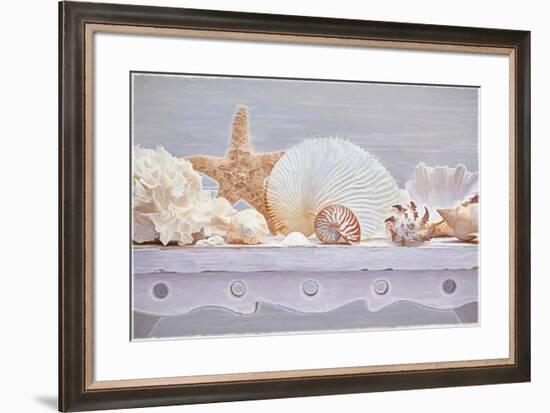 Sea Shell Still Life-Cora Niele-Framed Giclee Print