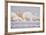 Sea Shell Still Life-Cora Niele-Framed Giclee Print