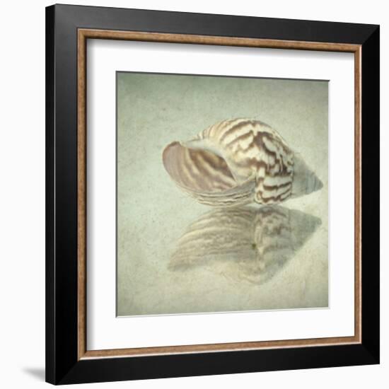 Sea Shell-Judy Stalus-Framed Art Print