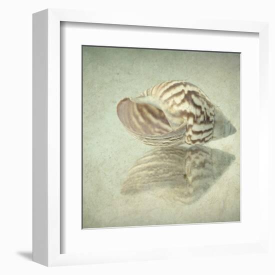 Sea Shell-Judy Stalus-Framed Art Print