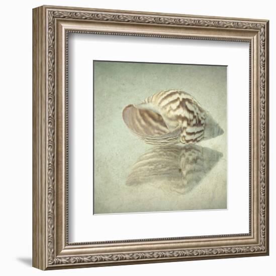 Sea Shell-Judy Stalus-Framed Art Print