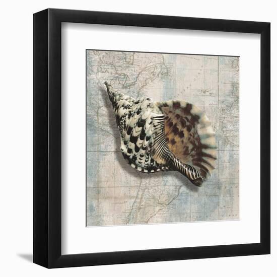 Sea Shell-Ted Broome-Framed Art Print