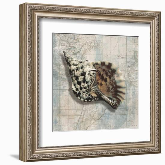 Sea Shell-Ted Broome-Framed Art Print