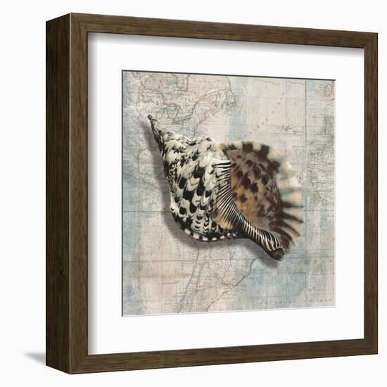Sea Shell-Ted Broome-Framed Art Print