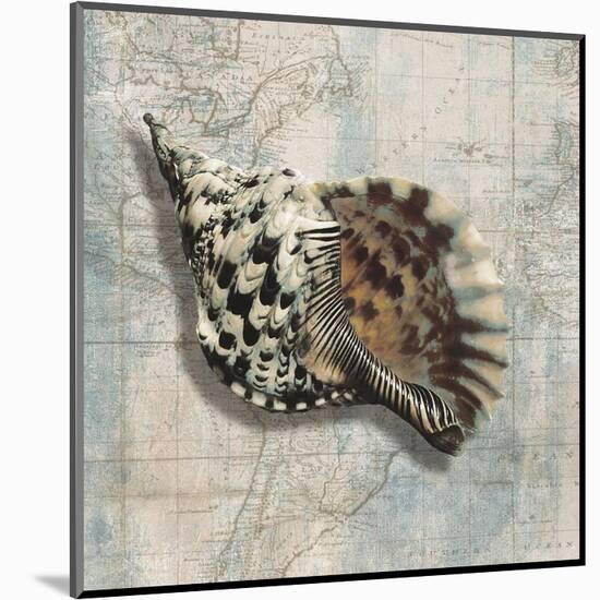 Sea Shell-Ted Broome-Mounted Art Print