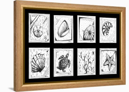Sea Shells Beach-Megan Aroon Duncanson-Framed Stretched Canvas