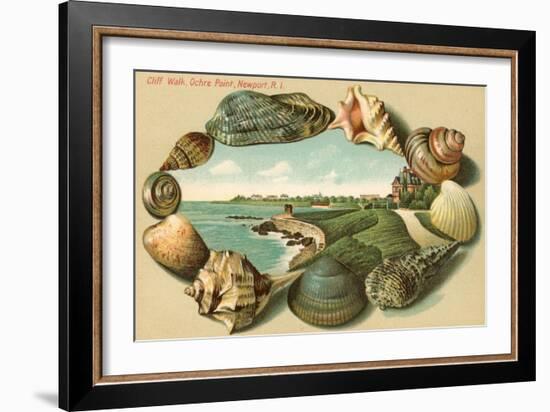 Sea Shells, Cliff Walk, Newport, Rhode Island-null-Framed Art Print