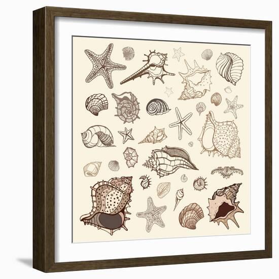 Sea Shells Collection.-Katyau-Framed Art Print