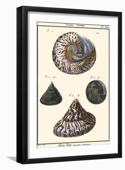 Sea Shells II-Denis Diderot-Framed Art Print