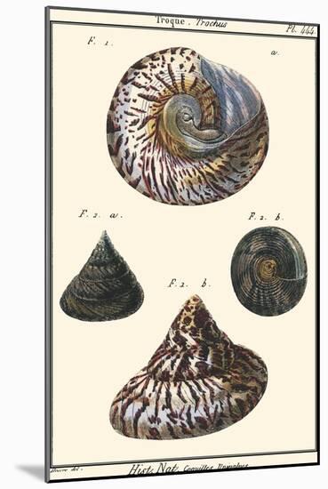 Sea Shells II-Denis Diderot-Mounted Art Print