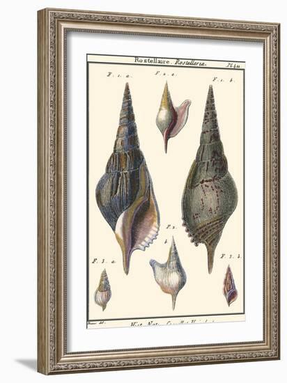 Sea Shells III-Denis Diderot-Framed Art Print