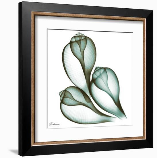 Sea Shells in Green II-Albert Koetsier-Framed Art Print