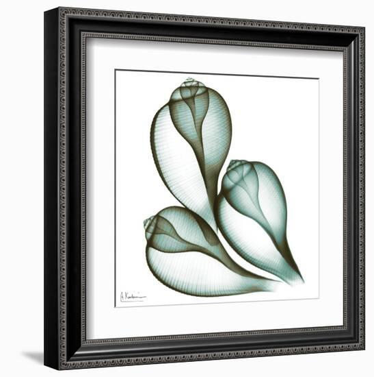 Sea Shells in Green II-Albert Koetsier-Framed Art Print