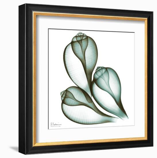 Sea Shells in Green II-Albert Koetsier-Framed Art Print