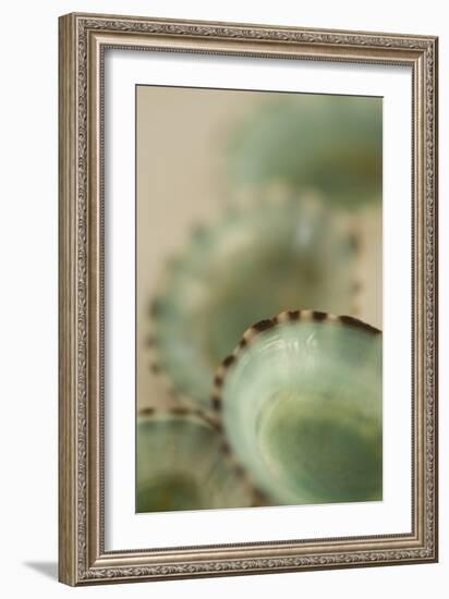 Sea Shells IV-Karyn Millet-Framed Photographic Print