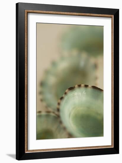 Sea Shells IV-Karyn Millet-Framed Photographic Print