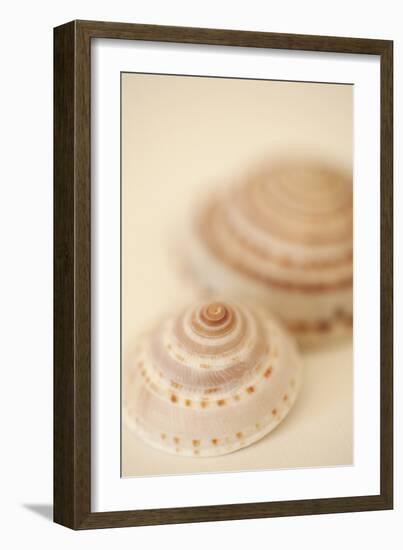 Sea Shells V-Karyn Millet-Framed Photographic Print