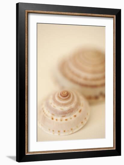 Sea Shells V-Karyn Millet-Framed Photographic Print