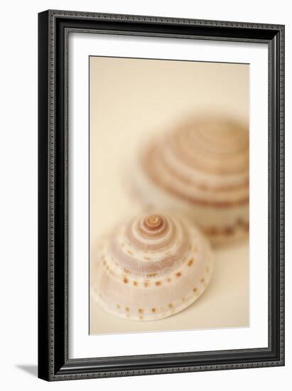 Sea Shells V-Karyn Millet-Framed Photographic Print