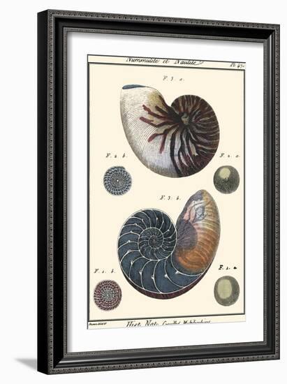 Sea Shells VI-Denis Diderot-Framed Art Print