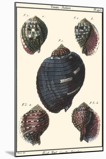 Sea Shells VII-Denis Diderot-Mounted Art Print