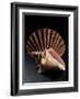 Sea Shells-Terry Why-Framed Photographic Print