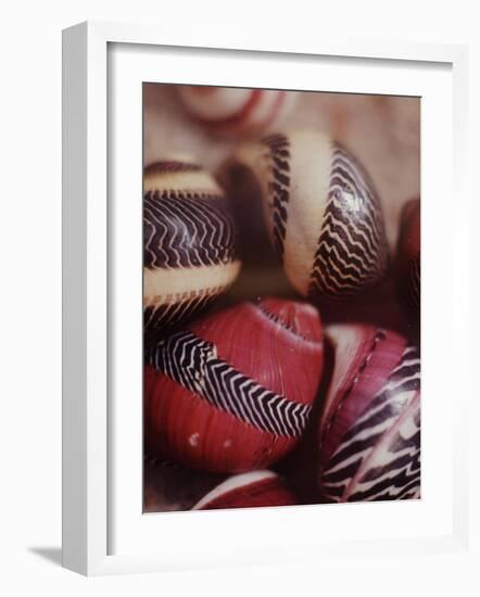 Sea Shells-Nina Leen-Framed Photographic Print