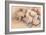 Sea Shells-Joanne Porter-Framed Giclee Print